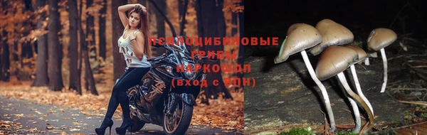 прущая мука Лиски