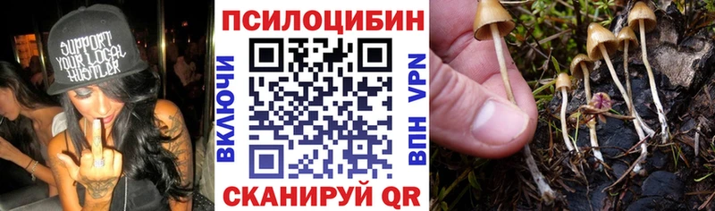 где купить наркоту  Курчатов  Псилоцибиновые грибы ЛСД 