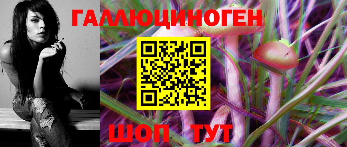 как найти   Галлюциногенные грибы GOLDEN TEACHER  Вход с VPN  Псилоцибиновые грибы Magic Shrooms  Курчатов 