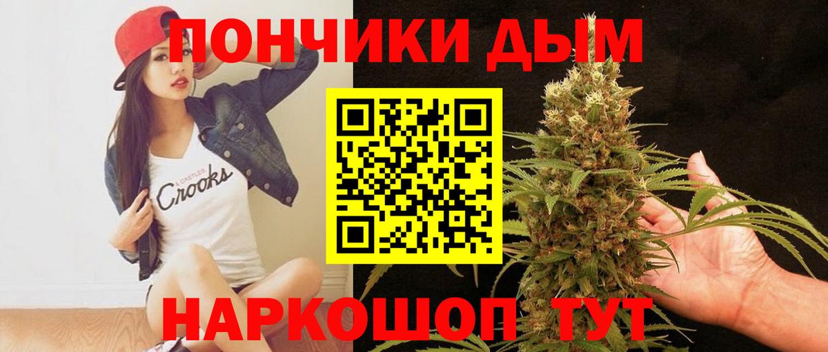 Курчатов  Шишки марихуана THC 21%  Вход с VPN  Бошки марихуана семена  Бошки Шишки VHQ  Шишки марихуана планчик 